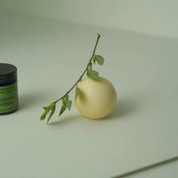 Vetiver Grounding Sphere Soap - Regenerative Tallow