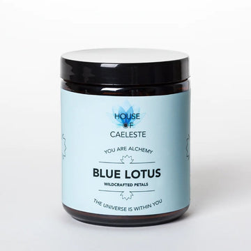 BLUE LOTUS- WILDCRAFTED
